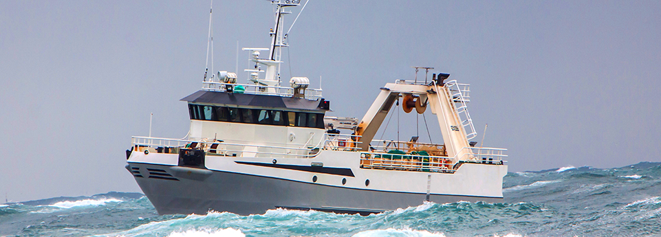 FISHFORM PLUS